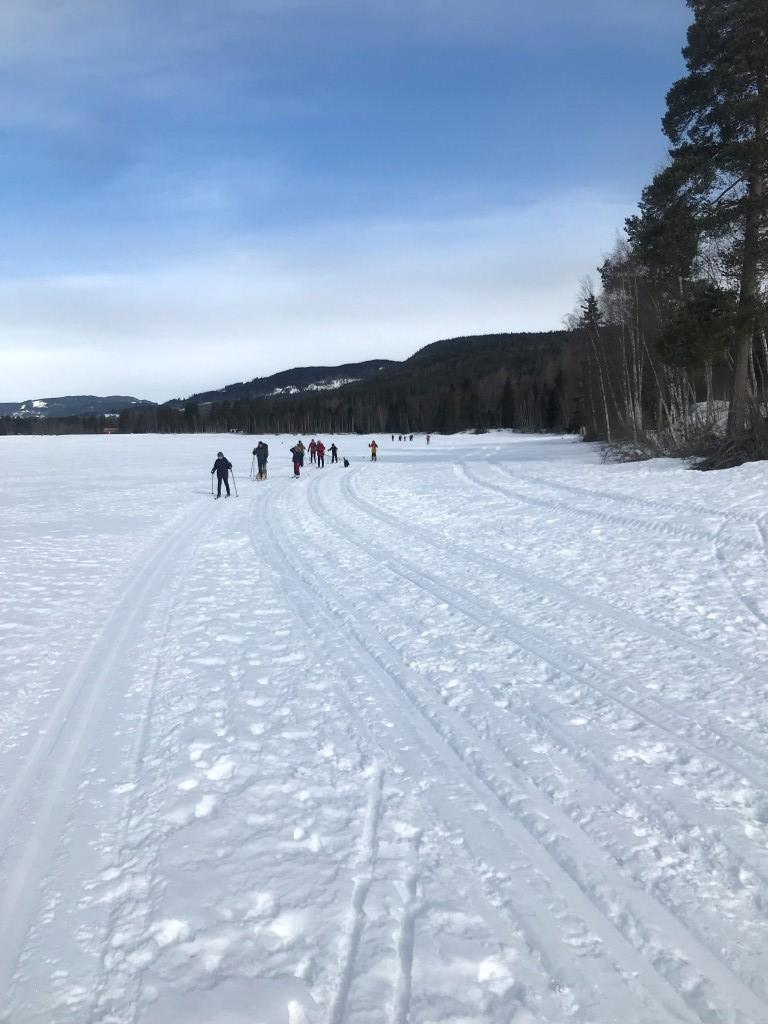 Barn på ski